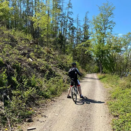 Hotel Central Willingen (Upland)