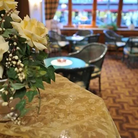 فندق Hotel Central