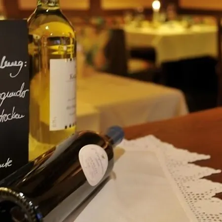 فندق Hotel Central فيلنغن