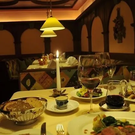 Hotel Central فندق