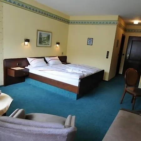 Hotel Central Hotel 3*