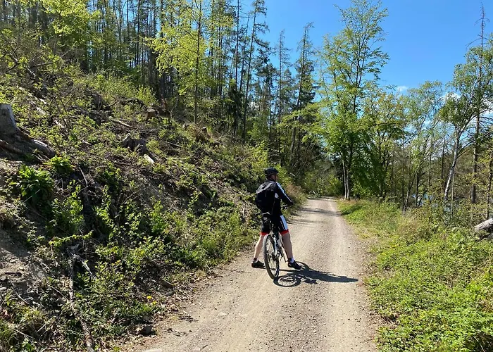 Hotel Central 빌링겐